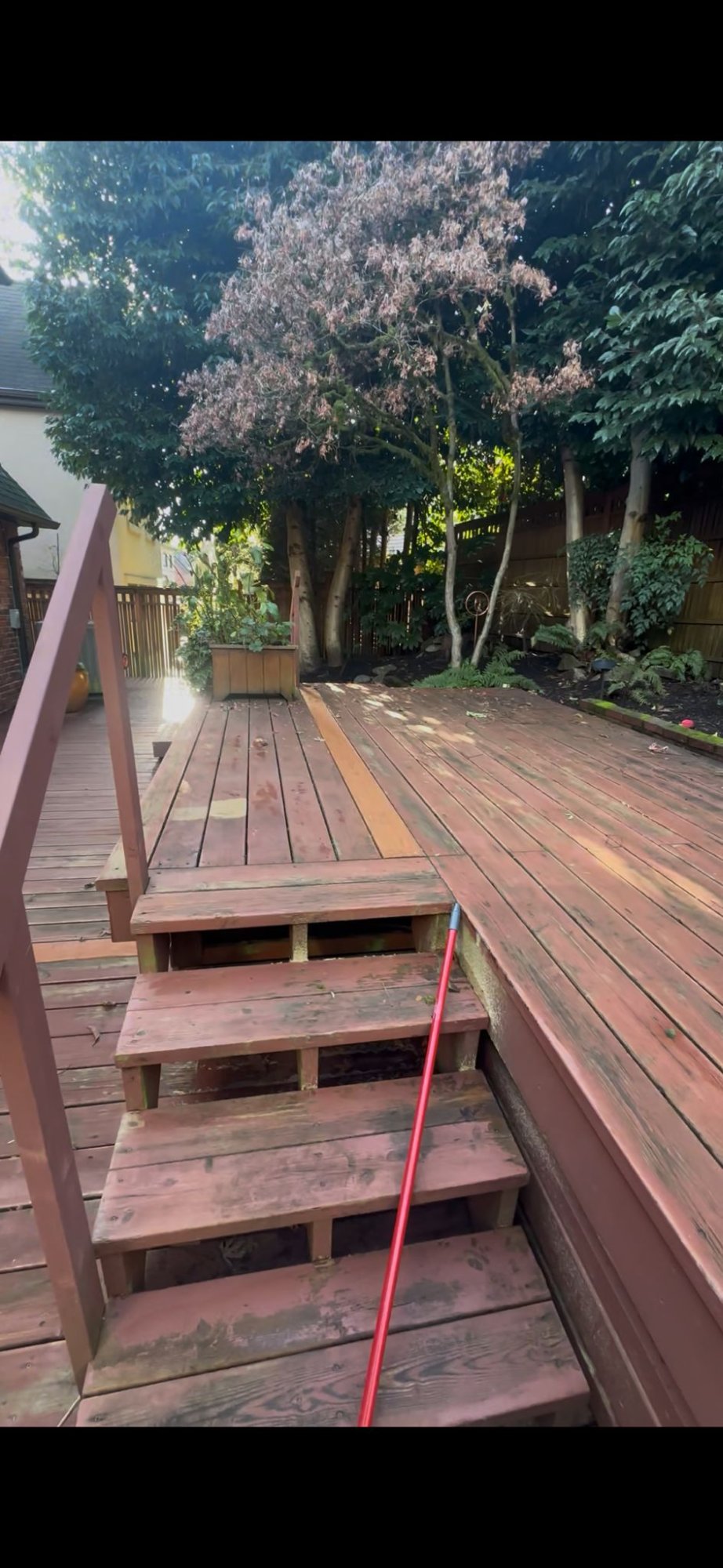 Deck Before